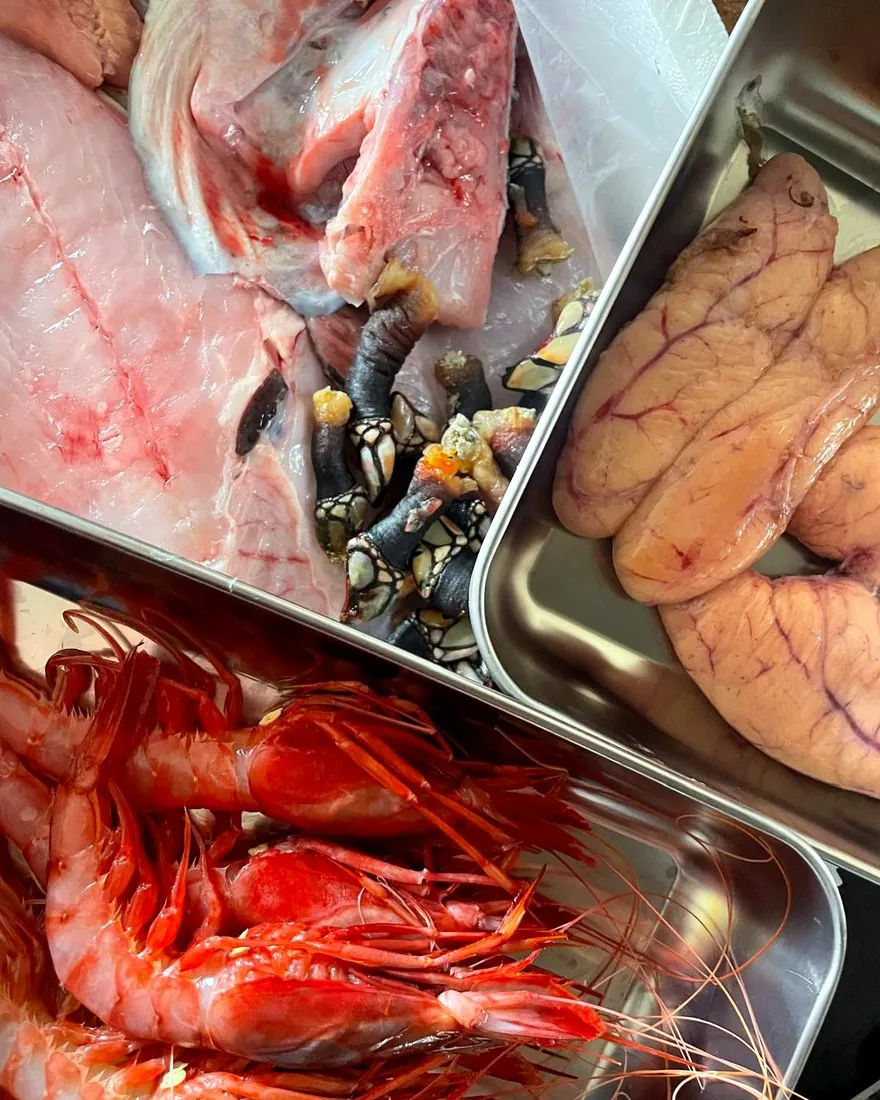 Percebes and carabineiros, fresh from the sea